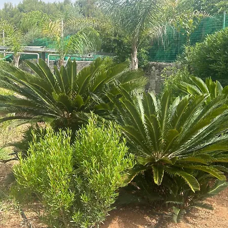 Casa de Férias Jobe