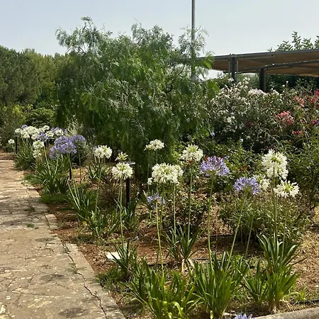 Casa de Férias Jobe