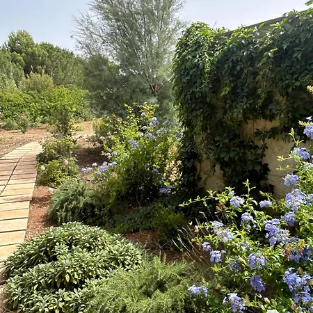 Jobe Polignano a Mare