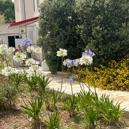 Jobe Holiday home Polignano a Mare