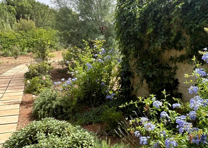 Jobe 폴리나노 아마레